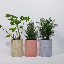 식물학개론 테라조화분 대형화분 원형화분 거실화분, 원통컬러, 컬러옐로우