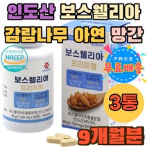 보스웰리아정 홈쇼핑 추천 감람나무 아연 망간 분말 보스웰리아 500mg 먹는법 보스벨리아 타블렛 정제 정 보스웰릭산 65% 원물 인도산 KBA AKBA 유항 수액 캡슐 HACCP