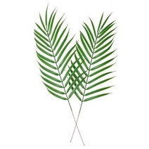 [나뭇잎조화] 데코조화 - 아레카야자수잎 ( 47cm )
