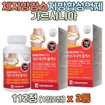 마테 가르시니아 다이어트 뱃살빼는법 탄수화물 지방 기능성 몸매 탄수화물 복부지방 체중 바지 한국인 적합 식약처 기능성 지방산 체지방 피하지방 콜라겐 히비스커스 흰강낭콩