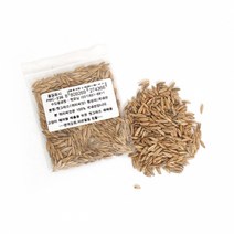 펫모닝 PMC-236 귀리씨앗 (12g) 캣그라스씨앗 고양이장난감, 상세페이지 참조