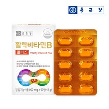 종근당 비타민B 비군 B군 b1 b2 b6 b12 활력 활성 영양제 알약케이스 증정, 8박스(16개월분)