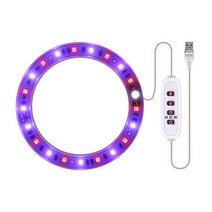 식물성장램프 실내 단일 천사 반지 led dc5v usb phytolamp 전체 스펙트럼 실내 묘목 succulents and bloom plant, 빨간색