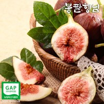 해남 꿀 무화과 (2팩) 생과, 단품