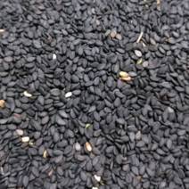 산들바람 2022년산 국산 생 검은깨(흑임자) 500g