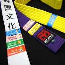 태권도학원용 프로그램 수행완료 띠밴드 10장세트, 태권체조