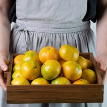 하르방마켓 제주도 하우스 귤 1kg 2kg 3kg 5kg 고당도 꼬마 소과 대과 로얄과 선물 선물용 감귤, 1_2. 제주 하우스 귤 1kg(소과)