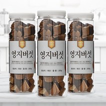 [채움팜] 국산100% 영지버섯 최상품 1개월분 (200g), 선물포장용, 1개