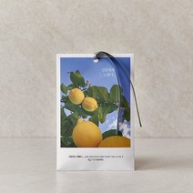 모던하우스 감성 시트러스 버베나 사쉐