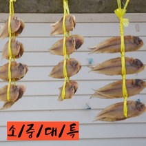 그린코리아 반건조 생선 구이 찜 박대 4종, 32cm내외 10미(중)