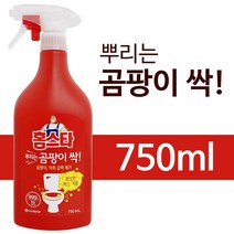 텐트곰팡이제거 홈.스타 뿌리는 곰팡이싹 750ml 락스세제 곰팡이제거