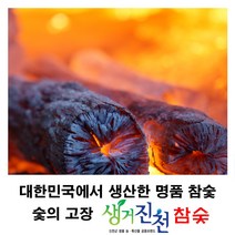 생거진천참숯 국내산 백탄 2kgX8개 14kg 캠핑숯 업소용 식당용 숯 참숯 생산농가 직판