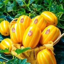 당도선별 최상급 성주 참외 3kg 5kg농장직송 당도보장, 가정용 참외 3kg(로얄과)
