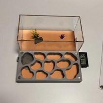 3D 개미 둥지 사육장 여왕 거미 알 키우기 관찰, 큰 D
