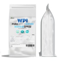 WPI 퓨어웨이 분리유청 단백질분말 500g 1팩 스푼증정