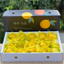 제주 새콤달콤한 황금향 선물세트, 1세트, 선물용4.5kg 중과(16-24과)