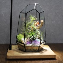 모스홀릭 다육 이끼 테라리움 기하학용기 프레임 유리병 용기 오픈형 25cm, 1개
