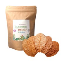 베타 알몬드잎, 알몬드잎 XL(25cm) 10장