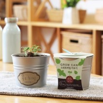 화분재배KIT 그로우캔 스위트바질 키우기