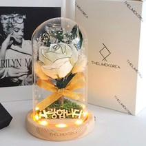 먼로장미 유리돔 무드등 여자친구 생일축하 프로포즈 기념일 커플 선물, 먼로장미무드등(DIY)33816940