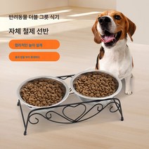 제조사 직거래 세트 스텐 펫볼 양용볼 프리미엄 목보호대 펫볼