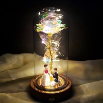 장미 꽃 LED유리돔 꽃 플라워 무드등 선물[금속각인무료제작], 선물박스 추가, 화이트