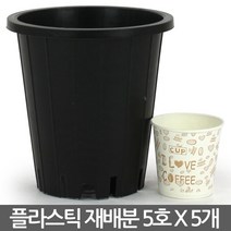 중형 플라스틱 재배분 7호(5개) - 원형 화분 플분 녹차 양란 난화분 란화분 난재배분 양란화분 난재배 녹차재배분 긴화분, 02_청운_재배분(5호) X 5개