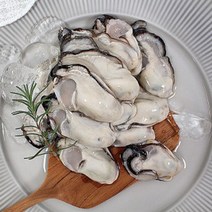 바다애 생굴 중굴모음 1키로소포장/햇생굴/최상품생굴/깐굴, 5kg