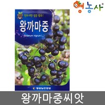 영농사 왕까마중 씨앗 100립 까마중 종자 안토시안 성분, 1개