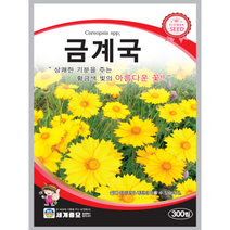금계국 씨앗 300립 꽃씨