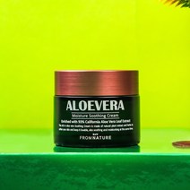 프럼네이처 알로에베라 모이스처 수딩크림, 80ml, 1개