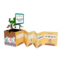 천냥금 식물 스토리북 화분 만들기재료 어르신 집콕놀이 단체수업 미술재료 노인대학