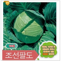 보람농자재 (양배추씨앗종자) 조선팔도(500립 2500립), 2500립