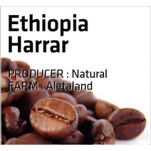 로스팅반 이디오피아 하라 커피 알레타랜드 농장 (100g) Ethiopia Harrar Coffee Aletaland Farm Roasting Barn