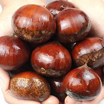 햇 알밤 토종밤 햇밤 특대 2kg, 1개