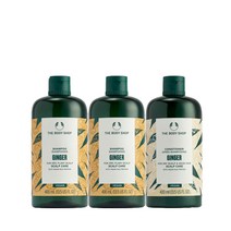 더바디샵 진저 스캘프 케어 2+1 대용량 세트, 없음