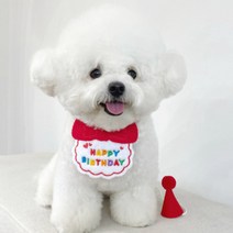 강아지 고양이 생일 축하 기념 스카프 + 모자 세트, 레드, 1세트