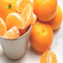 제주산지직송 노지감귤 소과 중과 5kg, 노지감귤로얄소과5kg