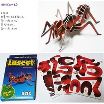 IQPLUS 3D입체곤충퍼즐 입체퍼즐, 개미, 1세트