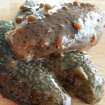 통영직송 싱싱 자연산 해삼1kg(사이즈랜덤), 1개