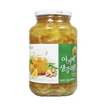 담터 아가베 생강 레몬차 1kg 생강차 액상차 맛있는 레몬청 꿀생강, 담터 아가베생강레몬차 1kg