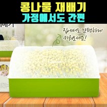 곰빵몰 식물 가정용 콩나물 재배기 제배기 숙주키우기
