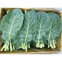 신선따옴 케일 1kg/2kg, 1kg, 1개