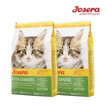 나투어리베 요세라 키튼 그레인프리 오리와 칠면조 4.25kg*2개 + 샘플 2개증정