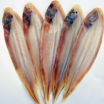 [신촌수산]군산 반건조 박대 참박대 대 특대 왕특대 사이즈 10마리, 4.(참박대 중) 26~28cm 10마리