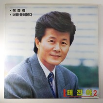 (중고LP 물세척) 태진아 2집 옥경이/ 너를 불러본다/ 1989년 발매반/ 자켓 음반 상태 A