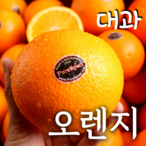 오렌지 퓨어스펙 블랙라벨 오렌지 프리미엄 고당도 네이블 오렌지 최상급 정품 대과 인피솔, B. 10kg (250g내외 x 40과)