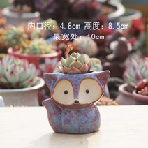 트리옵스 식물 작은 듀가르손 독특한 다육이 화분 책상 가드닝 인테리어 선인장 다유기 세라믹, 붉은색, 중간 정도