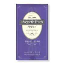 BNG 1300 자석패치 (자석패치 10개 + 패치 40개)