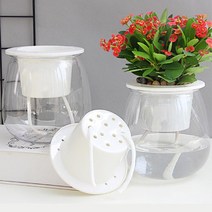 세컨하우스 홈가드닝용 자동급수 수경화분 4개 수경재배 인테리어식물 수경식물 식물, 원기둥형